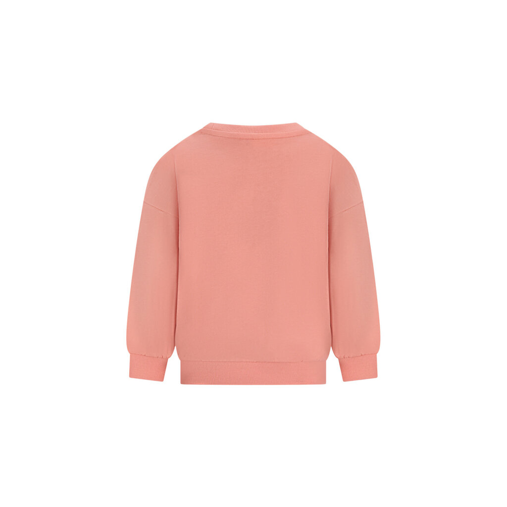 The New Chapter sweater Billie D602-0331-505 Shrimp