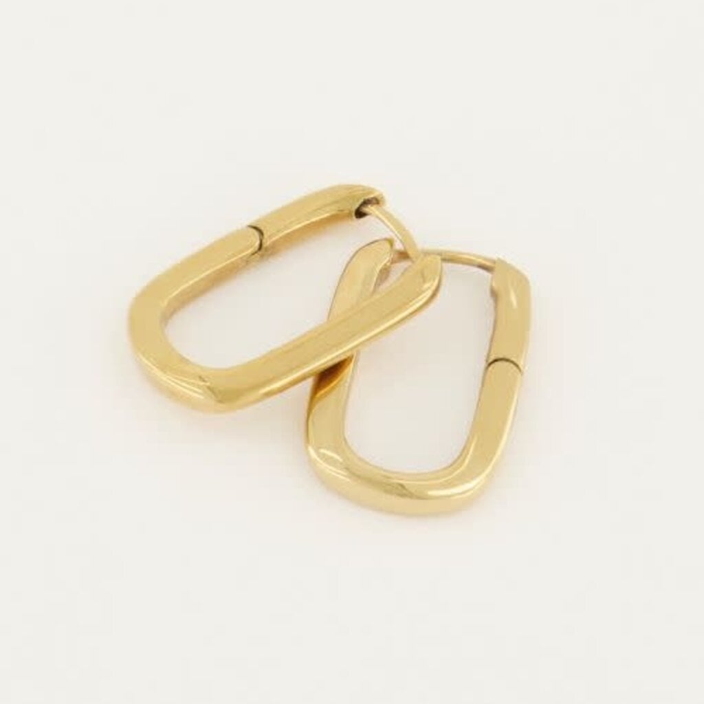 Oorbellen ovaal groot MJ04612 Goud