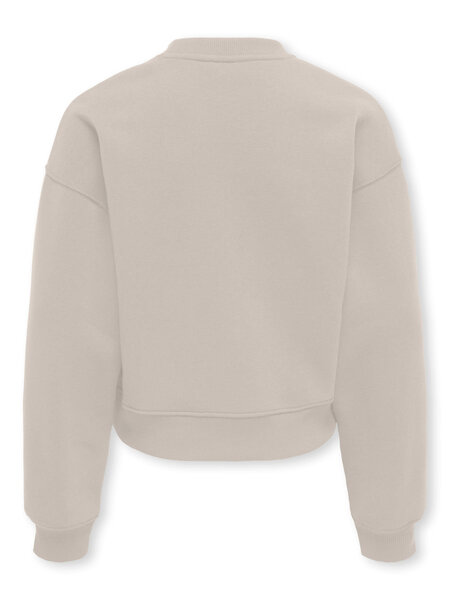 KIDS ONLY KOGBEST LIFE L/S CREW NECK SWT 15378153 Pumice Stone