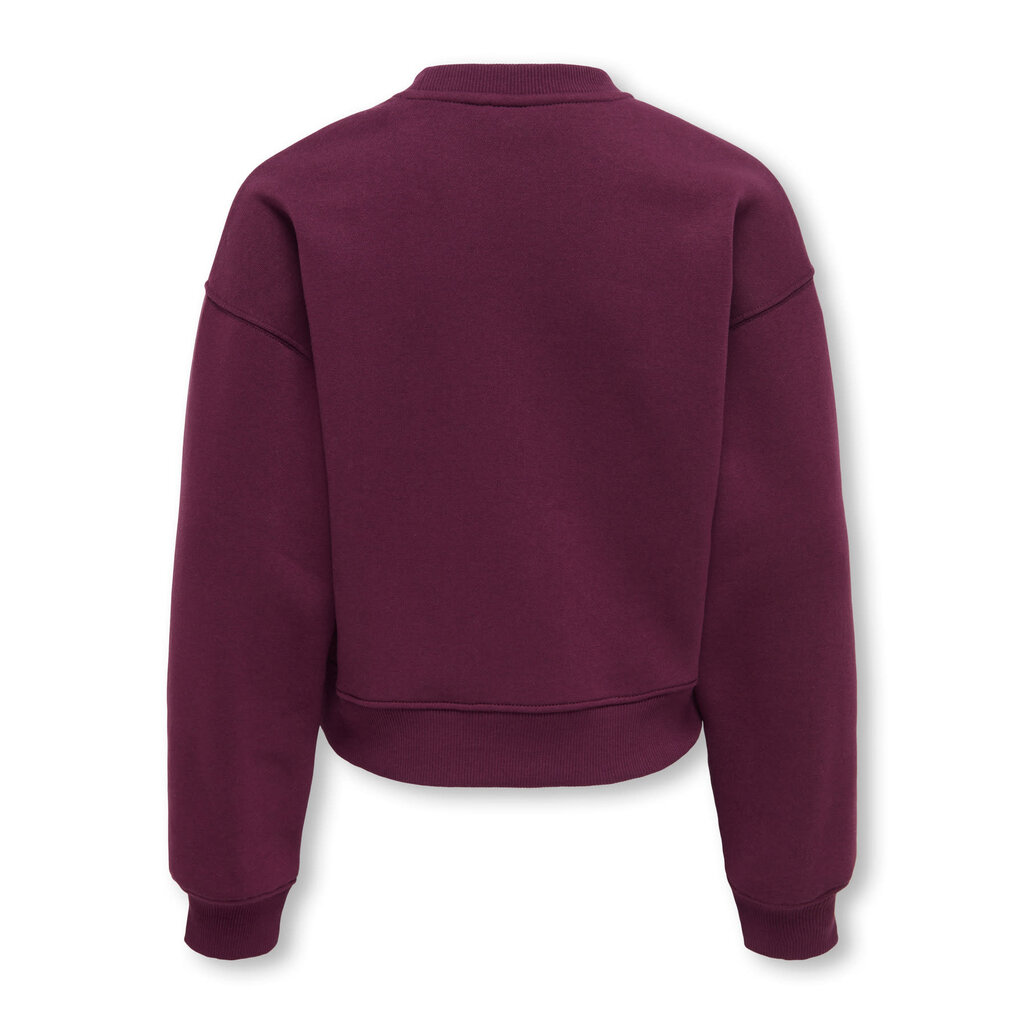 KIDS ONLY KOGBEST LIFE L/S CREW NECK SWT 15378153 Fig