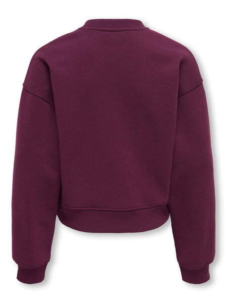 KIDS ONLY KOGBEST LIFE L/S CREW NECK SWT 15378153 Fig