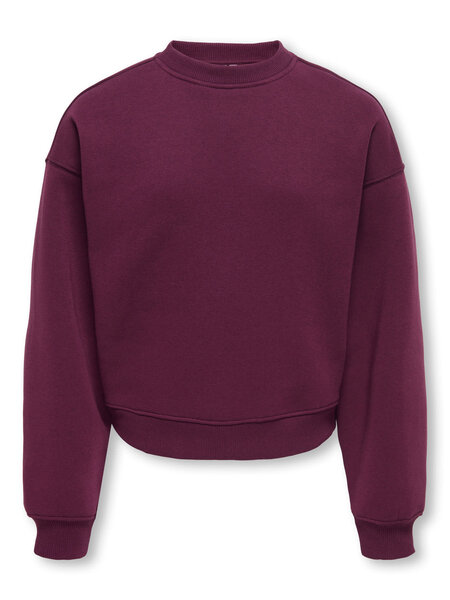 KIDS ONLY KOGBEST LIFE L/S CREW NECK SWT 15378153 Fig