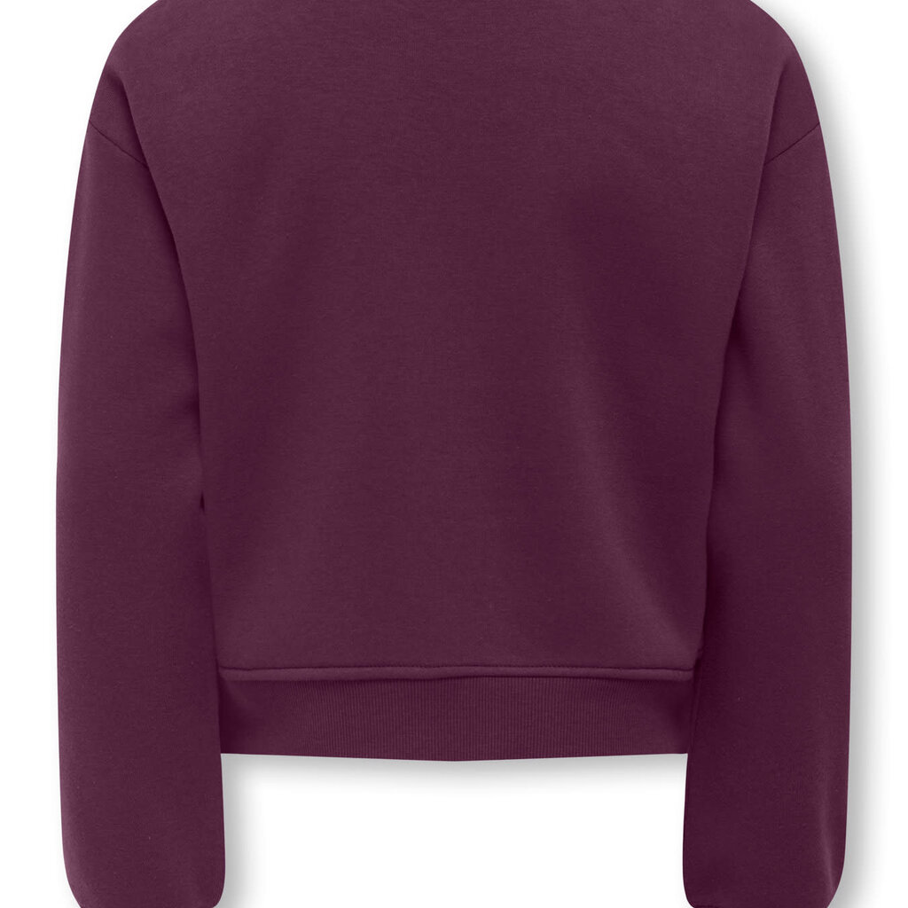 KIDS ONLY KOGSWEAT LS CREW OVZ STAT SWT NOOS 15353354 Mauve Wine Los Angeles - California