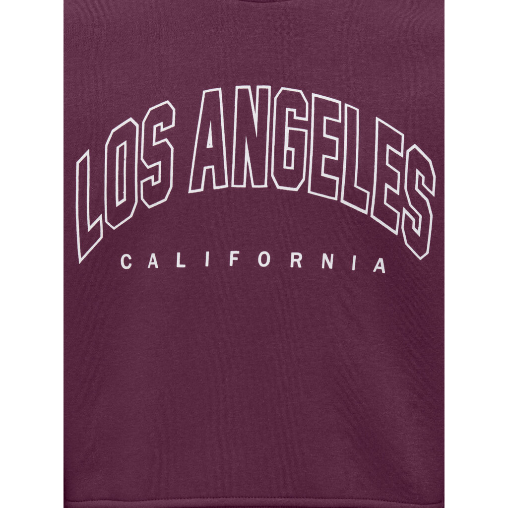 KIDS ONLY KOGSWEAT LS CREW OVZ STAT SWT NOOS 15353354 Mauve Wine Los Angeles - California