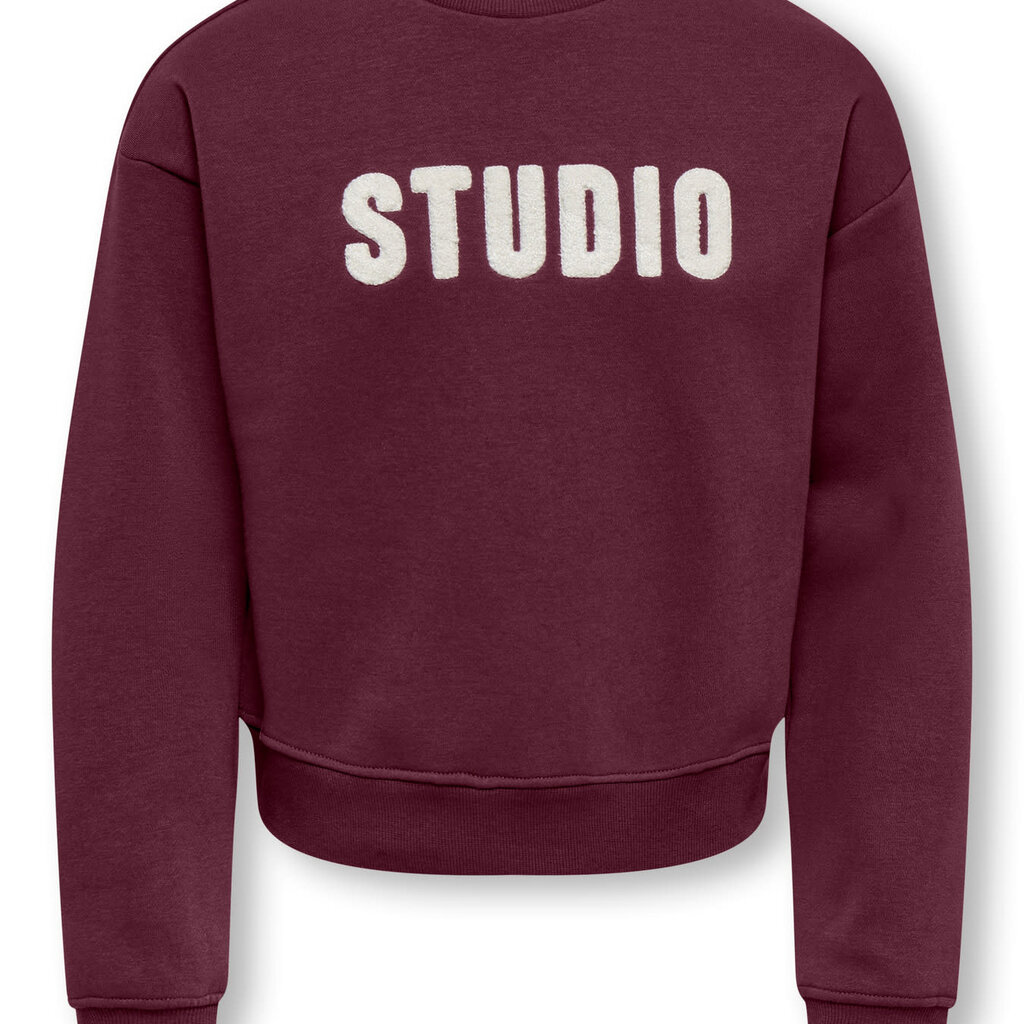 KIDS ONLY KOGSWEAT LS CREW OVZ STAT SWT NOOS 15353354 Fig STUDIO - Terry Emb.