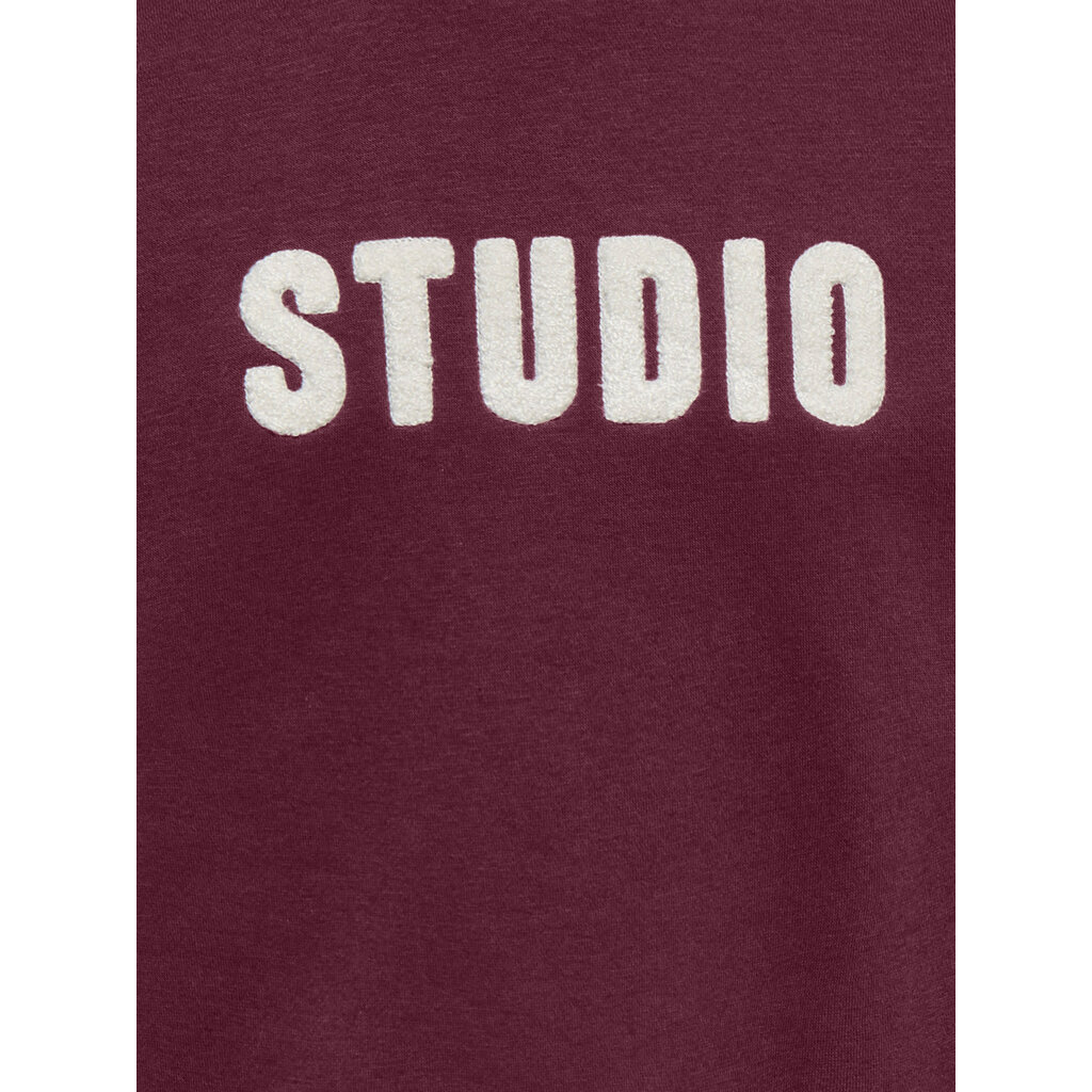 KIDS ONLY KOGSWEAT LS CREW OVZ STAT SWT NOOS 15353354 Fig STUDIO - Terry Emb.