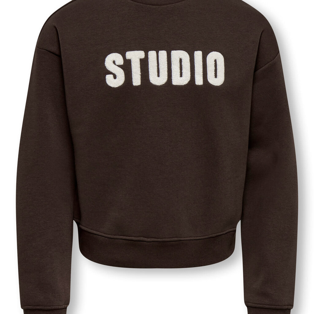 KIDS ONLY KOGSWEAT LS CREW OVZ STAT SWT NOOS 15353354 Coffee Bean STUDIO - Terry Emb.