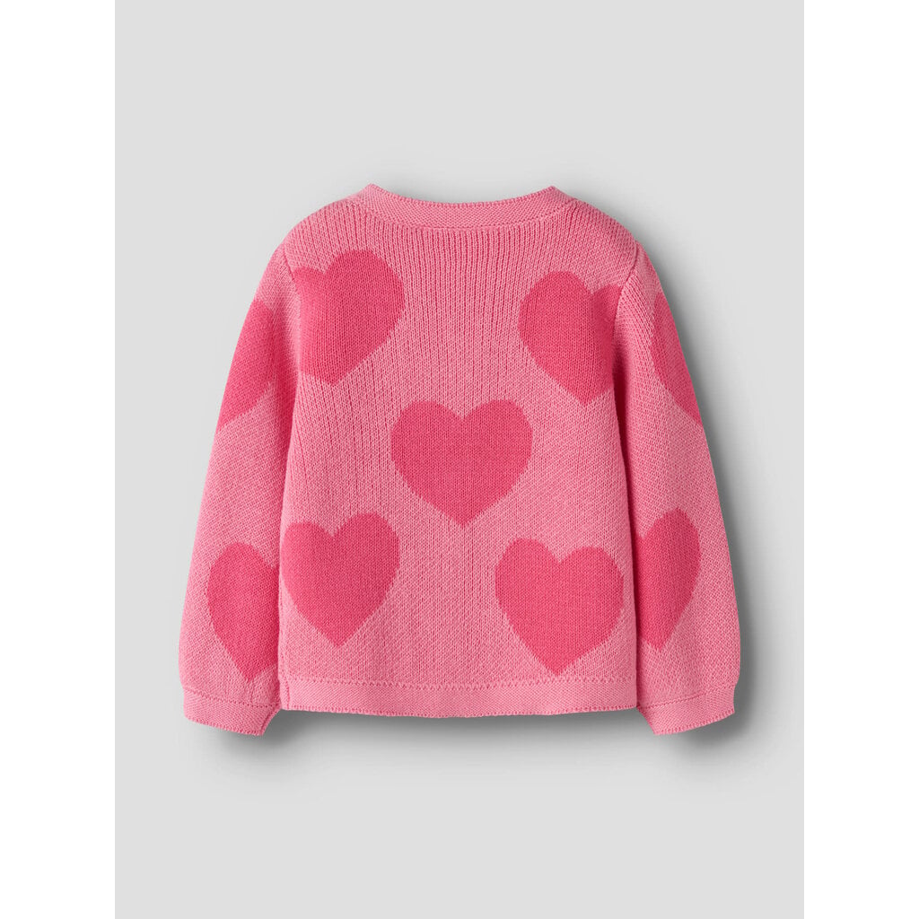 name it NMFLIANAX LS KNIT CARD 13258382 Flowering Ginger
