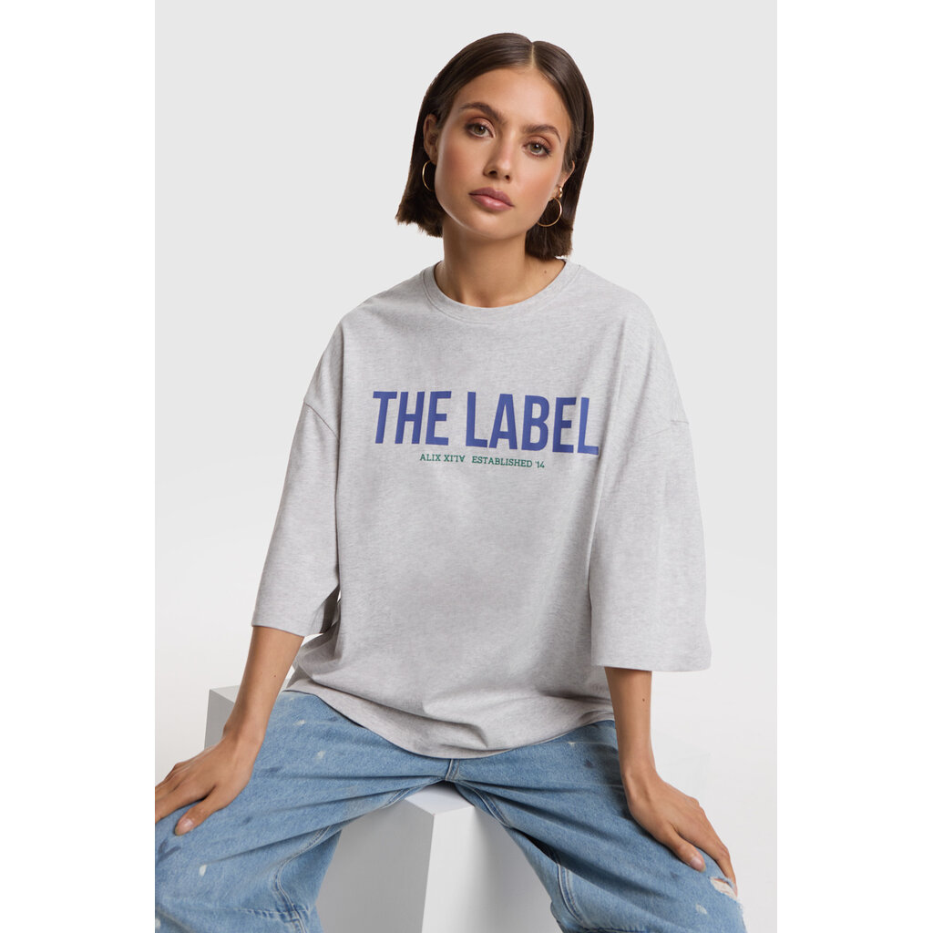ALIX the label oversized t-shirt (2608819959) light grey melange