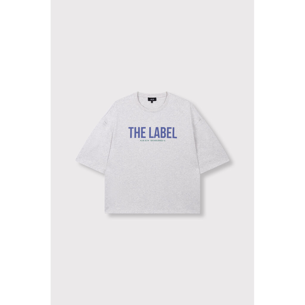 ALIX the label oversized t-shirt (2608819959) light grey melange