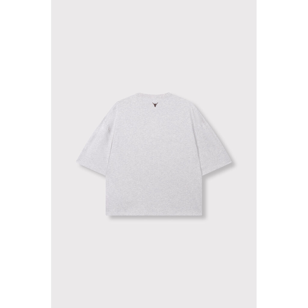 ALIX the label oversized t-shirt (2608819959) light grey melange