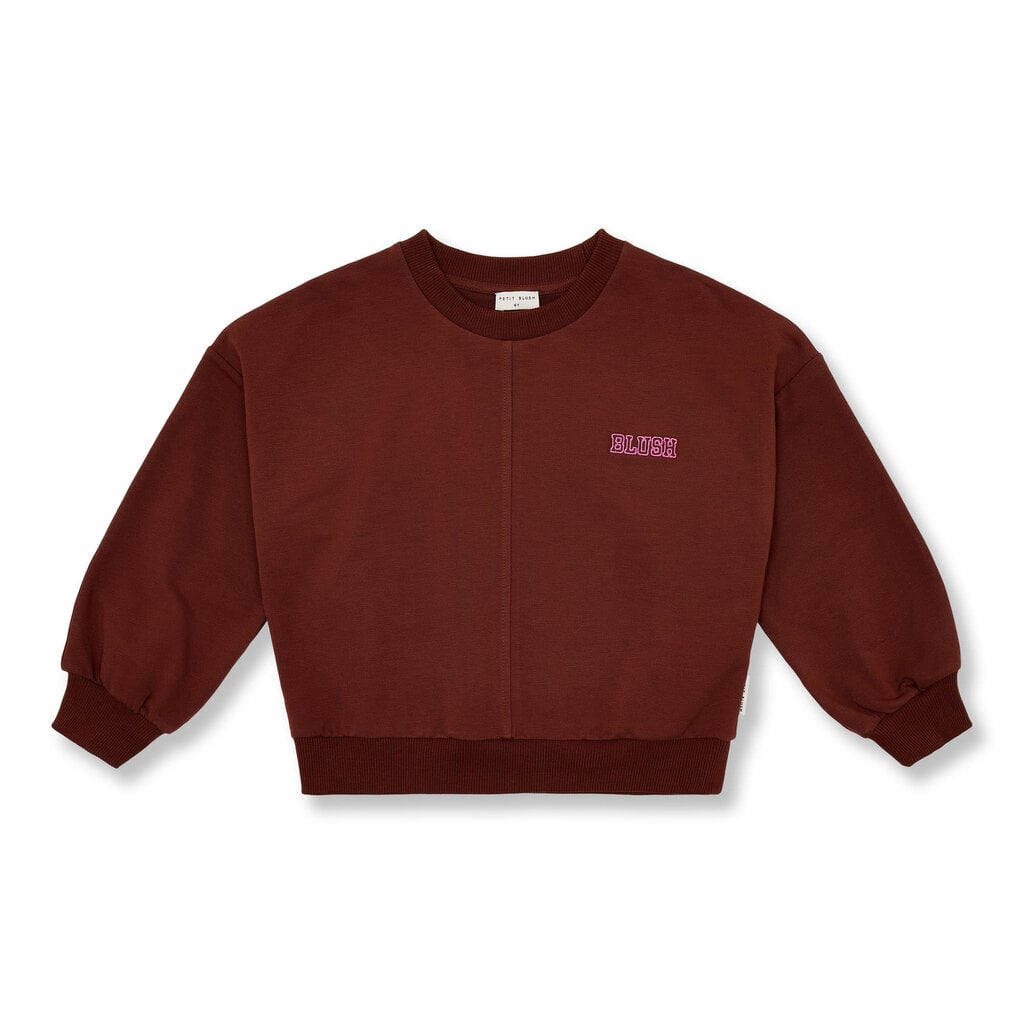 PETIT BLUSH Luca Sweater | Brown AW26-111