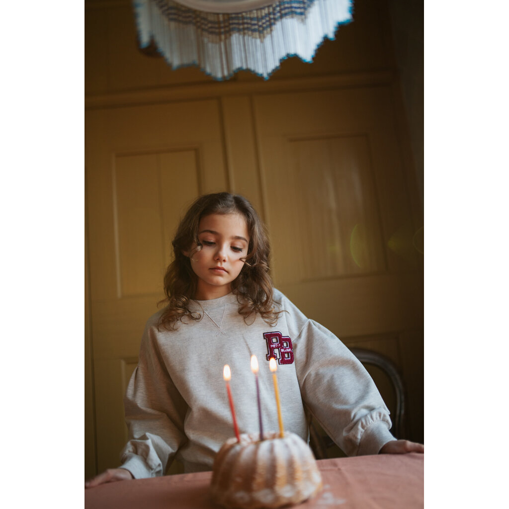 PETIT BLUSH Easy Sweater PB Logo | Grey Melange AW26-102