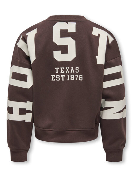 KIDS ONLY KOGSWEAT L/S BACK/SLEEVE PRINT SWT 15380034 Coffee Bean Birch/Houston