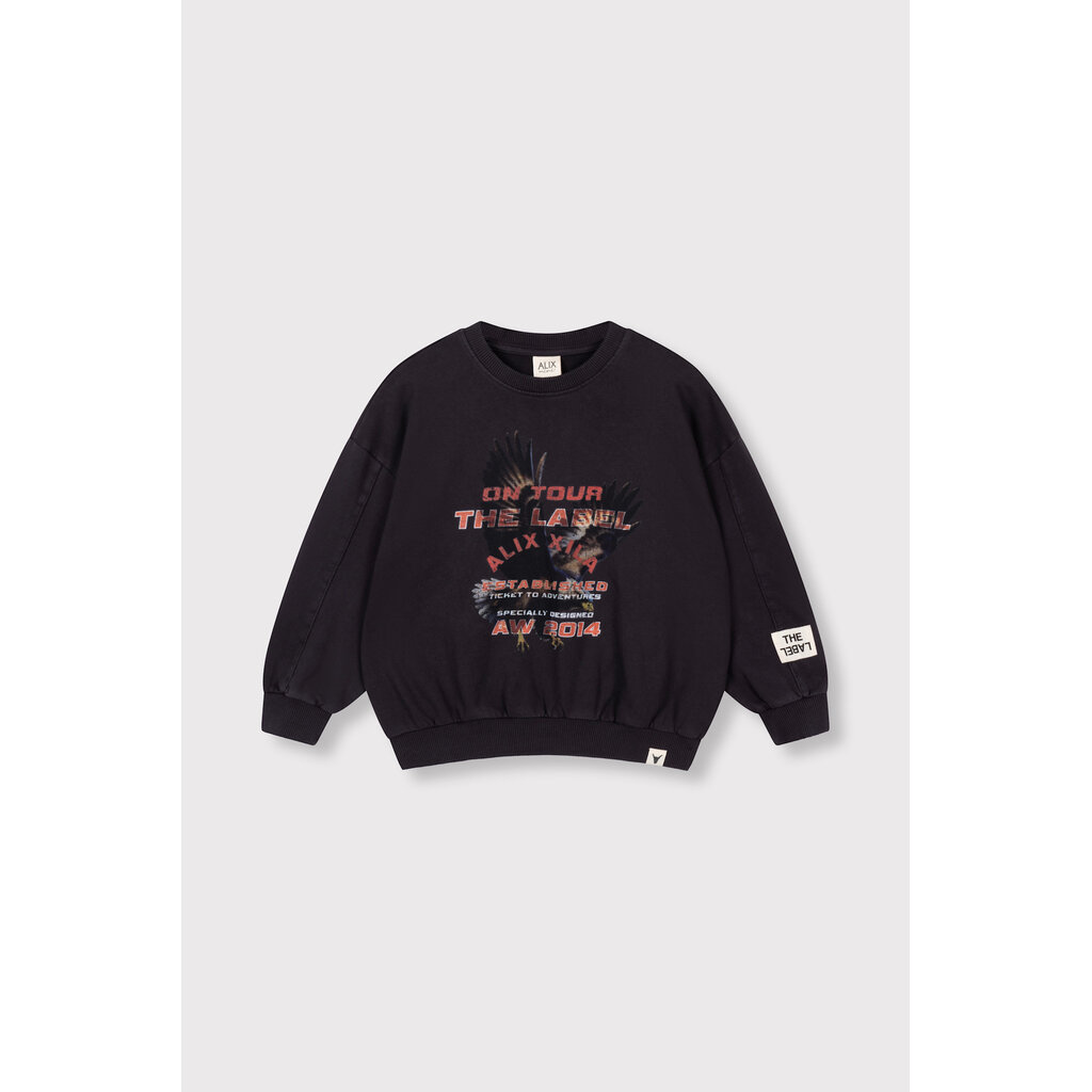 ALIX mini eagle sweater (62608852558) charcoal grey