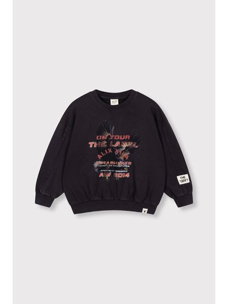 ALIX mini eagle sweater (62608852558) charcoal grey