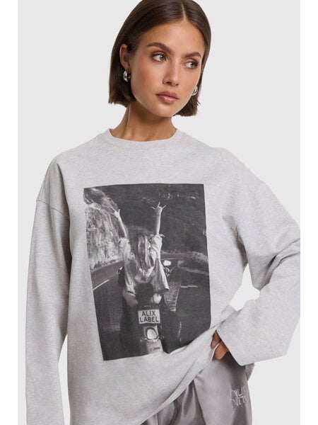ALIX 2608882960 ladies knitted photo longsleeve t-shirt soft grey