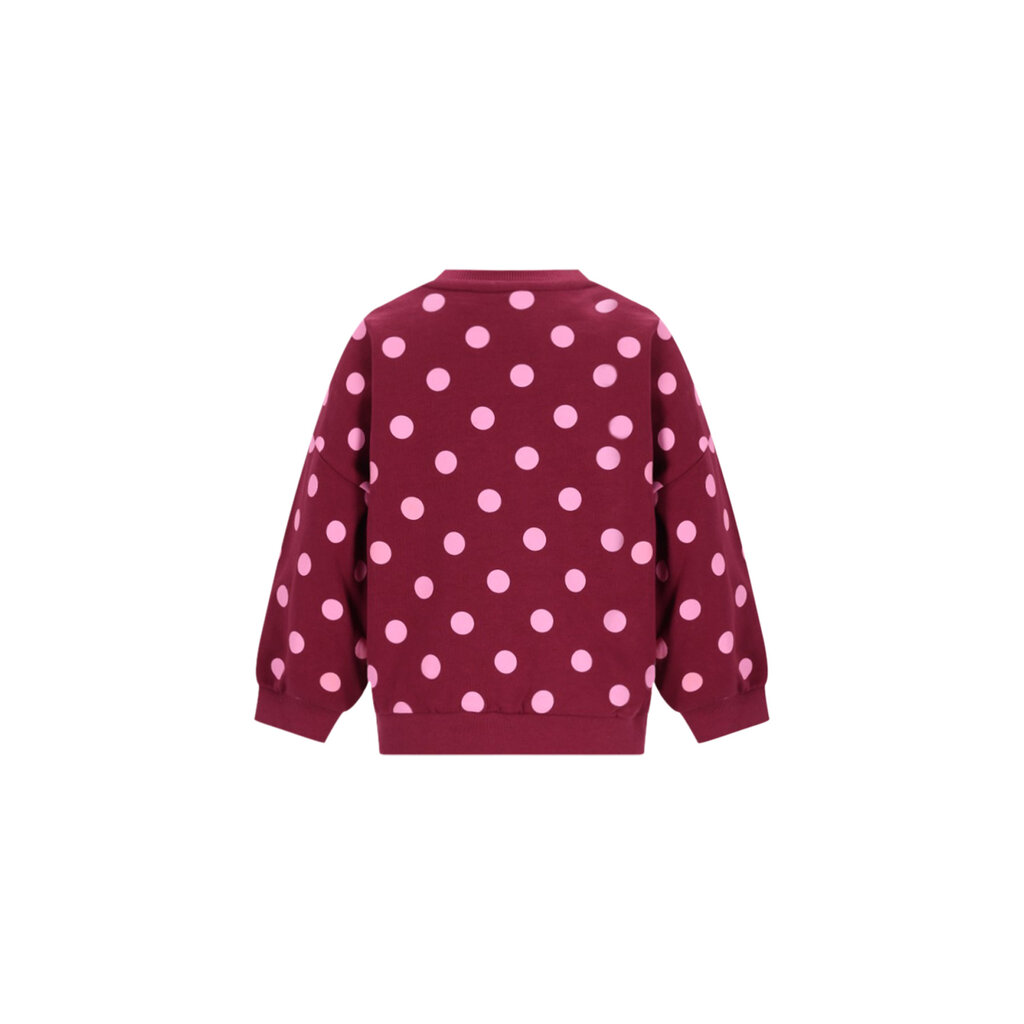 The New Chapter Billie Sweater D607-0332 Polkadot