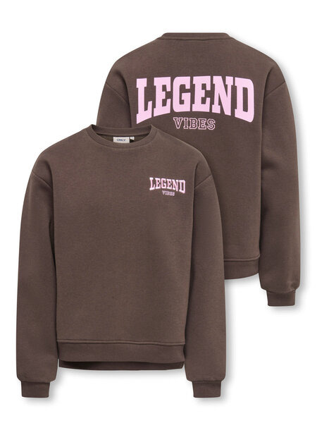 KIDS ONLY KOGVICKY L/S O-NECK CS SWT 15392107 Bracken Legend Vibes/Pink Lady