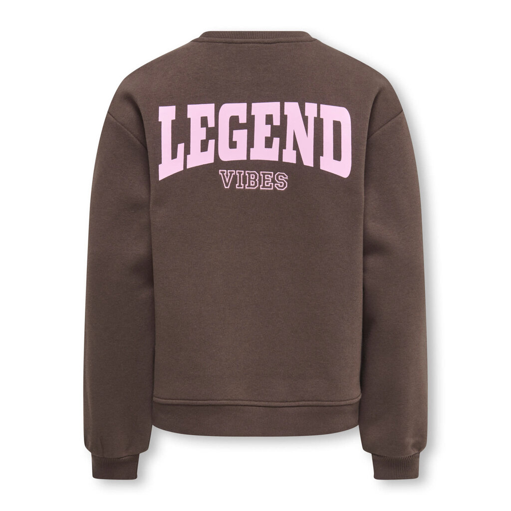 KIDS ONLY KOGVICKY L/S O-NECK CS SWT 15392107 Bracken Legend Vibes/Pink Lady