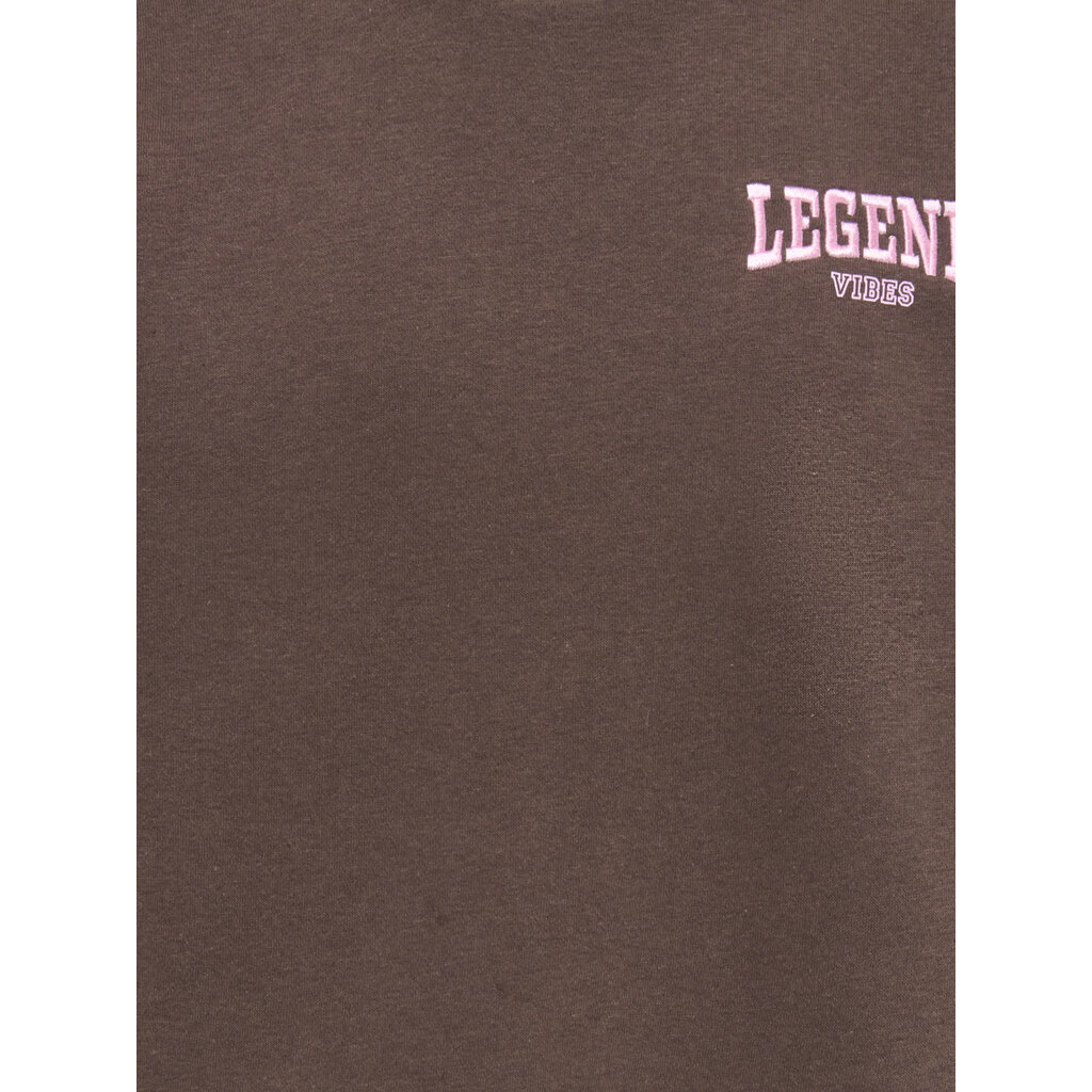 KIDS ONLY KOGVICKY L/S O-NECK CS SWT 15392107 Bracken Legend Vibes/Pink Lady