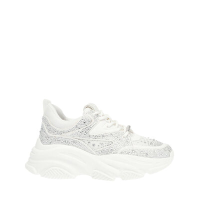 STEVE MADDEN Privy sneaker white