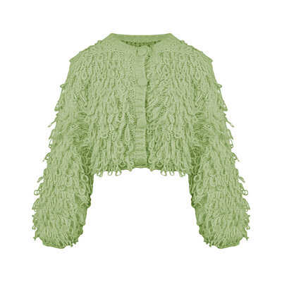 JAIMY Birdie cropped cardigan pistachio green
