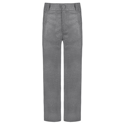 JAIMY Josie sparkle pantalon grey