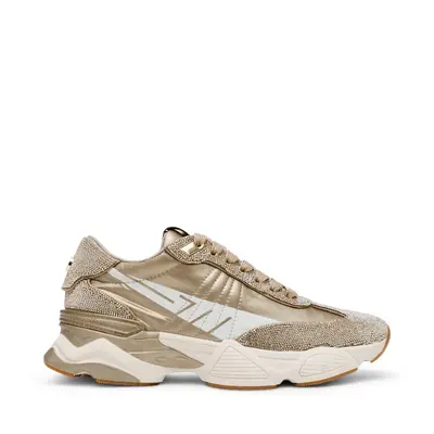 STEVE MADDEN Setback-R sneaker GOLD