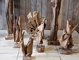 Hout sculptuur - Teak wortelhout