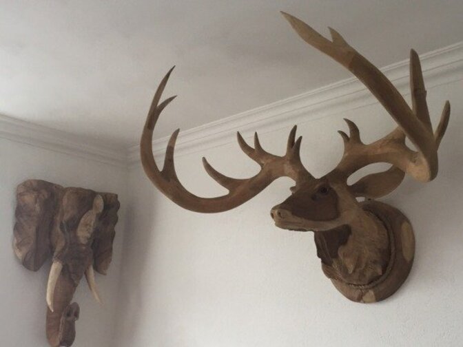 Hertenkop met gewei XL