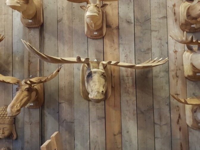 Houten eland kop XXL 150x70x50cm