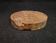 Teak wortelhout schijf 60x10cm - salontafelblad