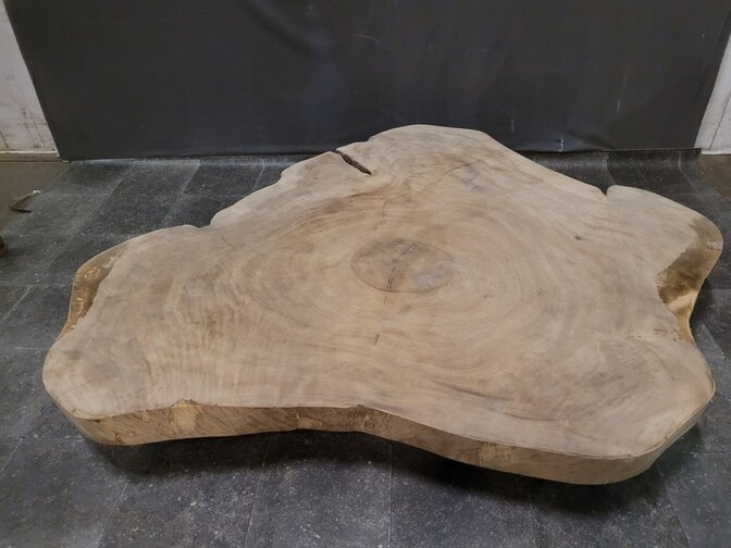 Ronde boomstamtafel 160/180cm CA02-323