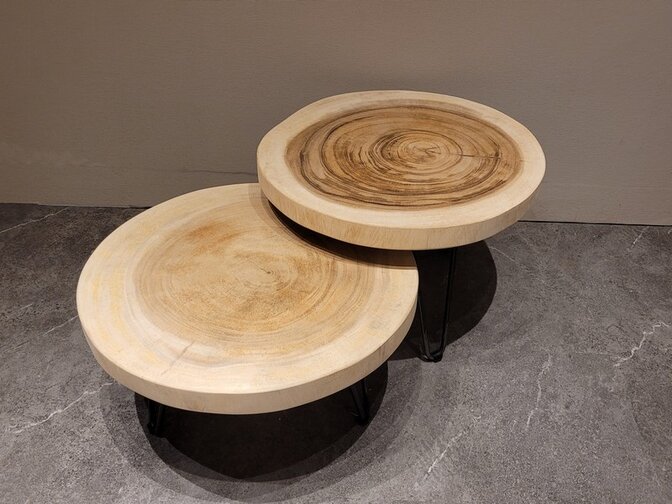 Ronde boomstam salontafel op pinpoot 60x31cm