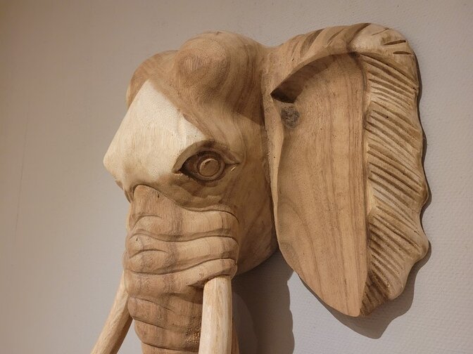 Olifantenkop hout M