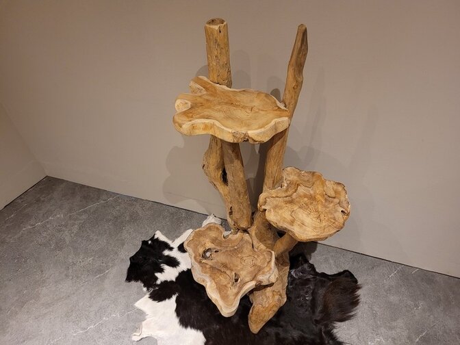 Etagere rustiek teak wortelhout - 130cm
