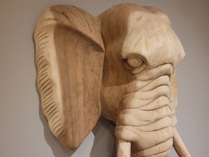 Olifantenkop hout L
