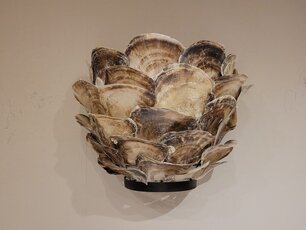 Wand schelpenlamp met oesterschelpen