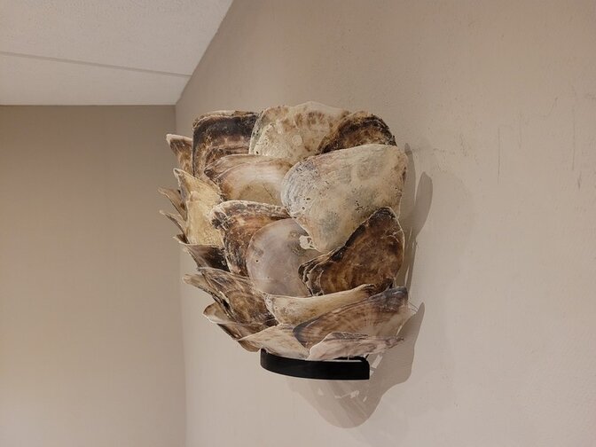 Wandlamp met oesterschelpen
