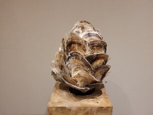 Tafellamp met oesterschelpen - 30x40cm