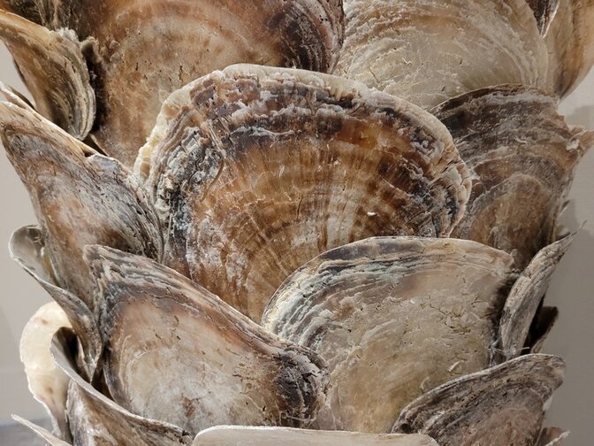 Staande lamp met oesterschelpen - 45x115cm