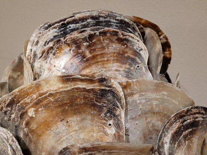 Staande lamp met oesterschelpen - 45x115cm