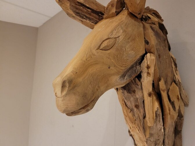 Paardenhoofd van wortelhout - rustiek M