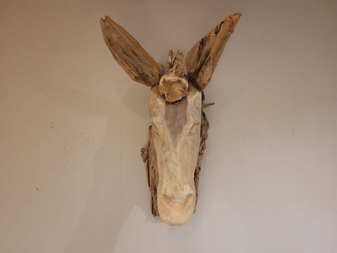 Paardenhoofd van rustiek wortelhout - L