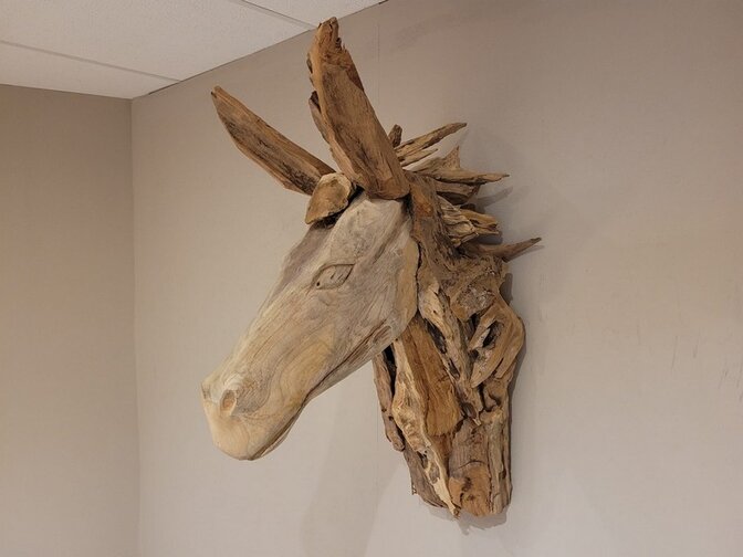 Paardenhoofd van rustiek wortelhout - L