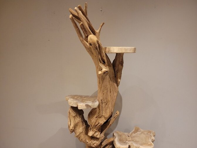 Etagere rustiek teak wortelhout - 200cm