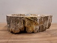 Waskom van versteend hout - 52x38x15cm - FL22344