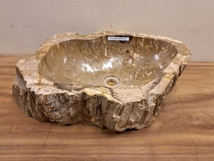 Waskom van versteend hout - 59x43x15cm - FL22346