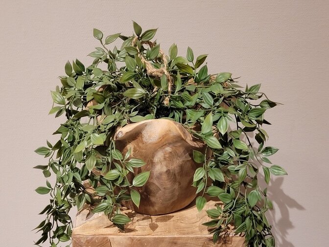 Teak wortelhout vaas - 25x20cm